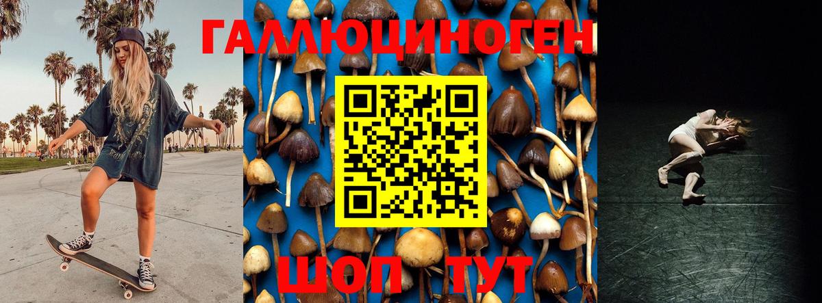 Псилоцибиновые грибы Magic Shrooms  Вход с VPN  Пугачёв  Галлюциногенные грибы Magic Shrooms 