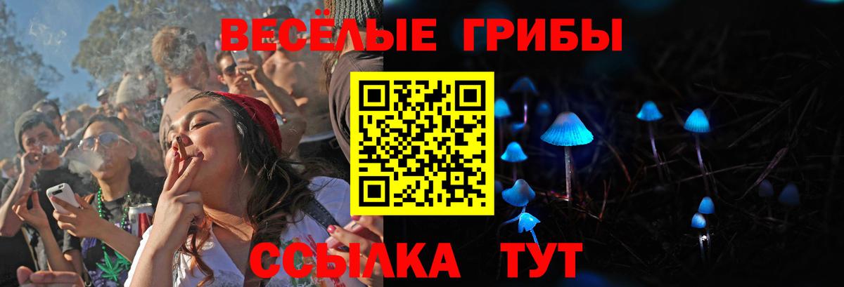 Псилоцибиновые грибы GOLDEN TEACHER Пугачёв
